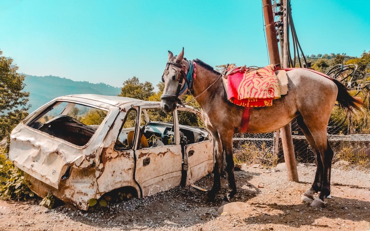 voiture  chevaux